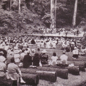 Peaple Wathing a Performance at Armstrong Woods Park Amphitheatre