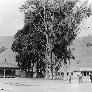 Duncan's Mill Train Depot and Shops, Circa 1917