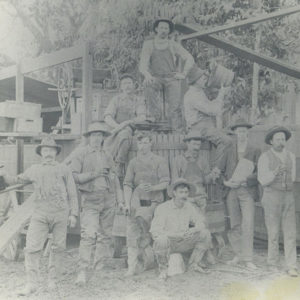 Work Crew at Mathey's Winery in Forestville, Circa 1890