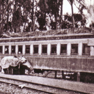 Railroad Car at Duncan's Mills Train Station