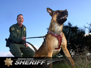 Sonoma County Sheriff Department