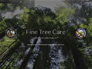 Fine Tree Care